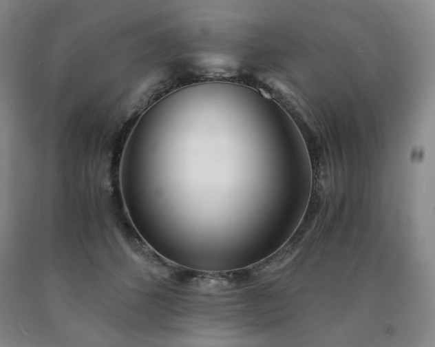 X0000090860512200707271231