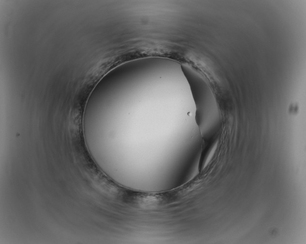 X0000090860513200707271231
