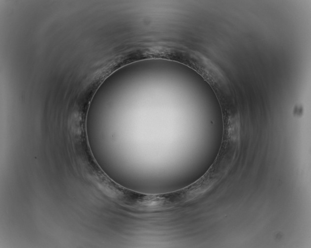 X0000090860514200707271231