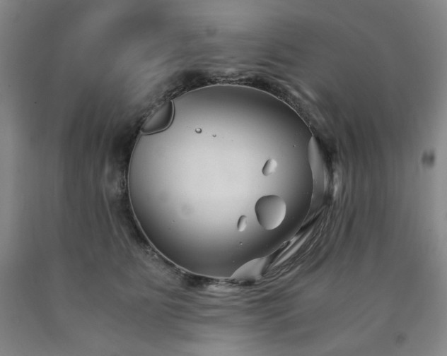 X0000090860515200707271231