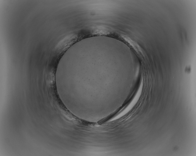 X0000090860517200707271231