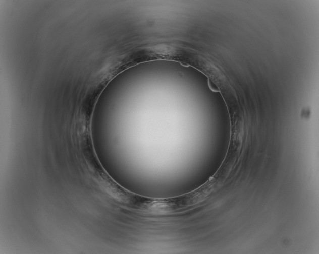 X0000090860518200707271231