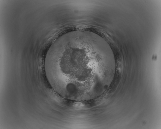 X0000090860519200707271231