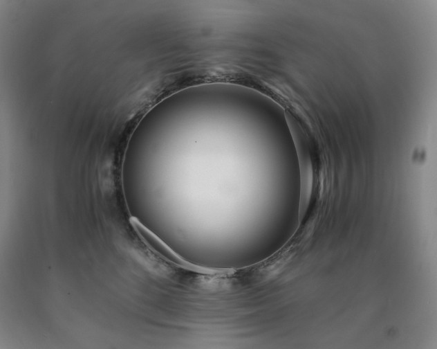 X0000090860520200707271231