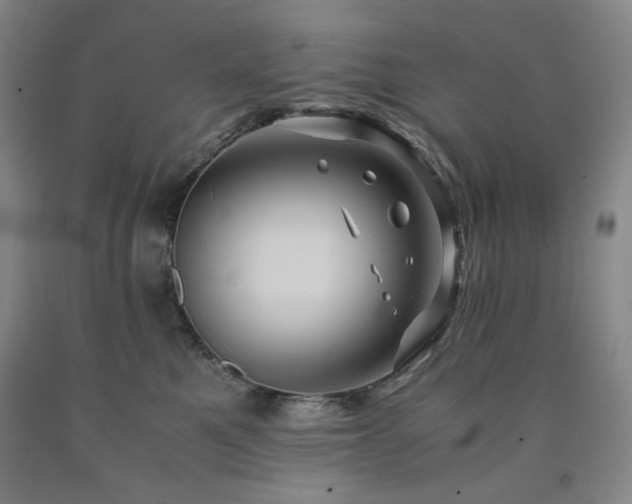 X0000090860521200707271231