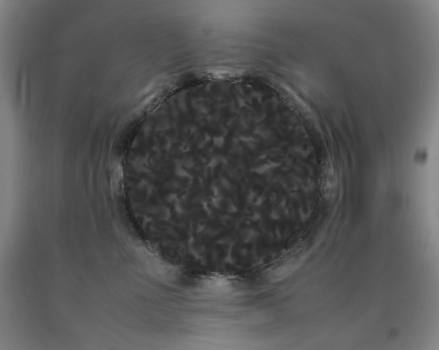 X0000090860523200707271231