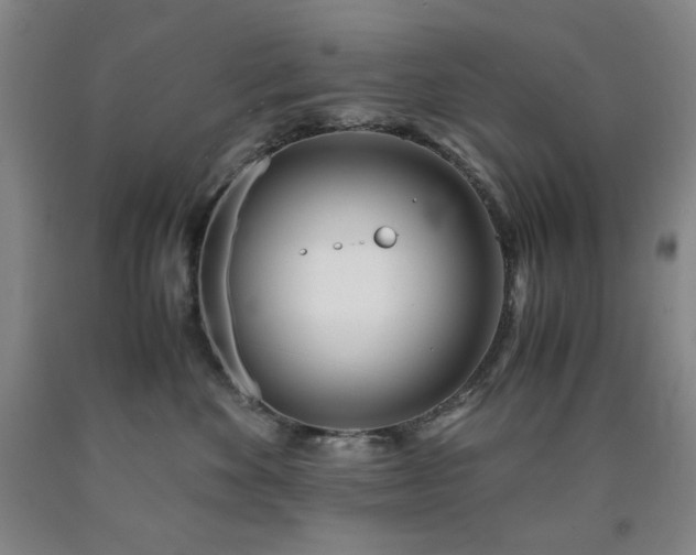 X0000090860524200707271231
