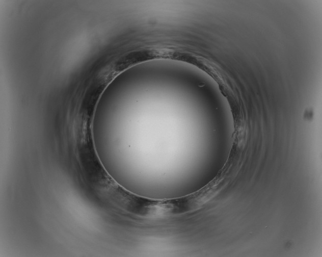 X0000090860525200707271231