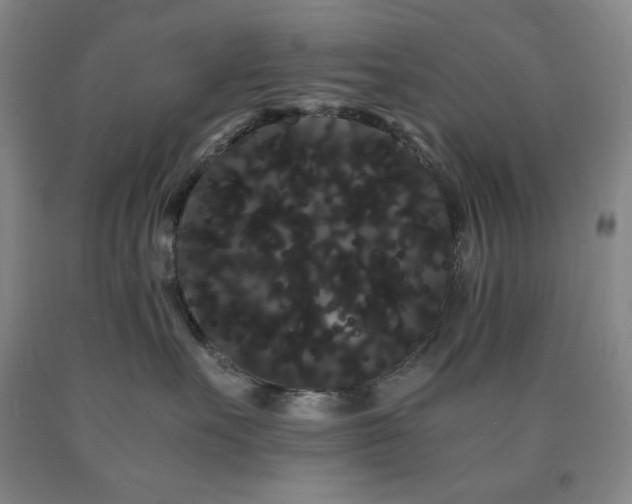X0000090860527200707271231