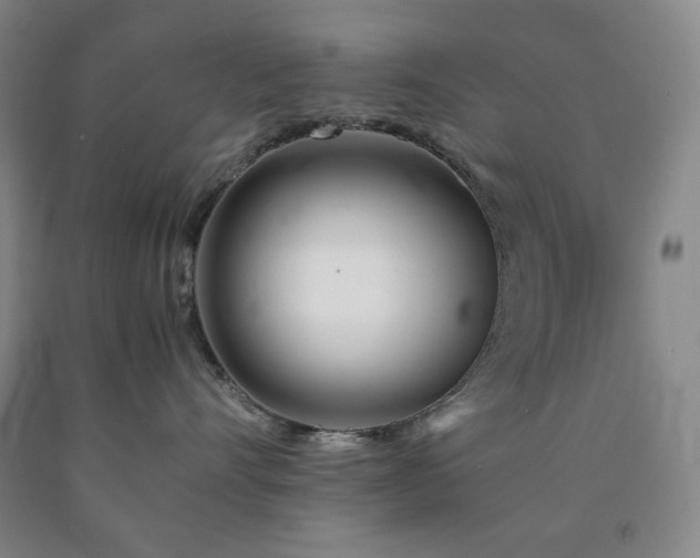 X0000090860528200707271231