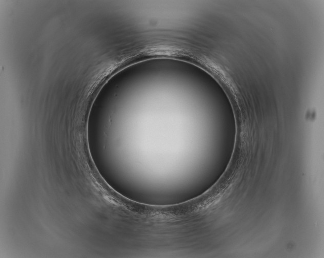 X0000090860529200707271230