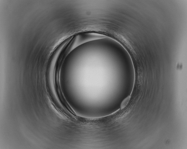 X0000090860530200707271230