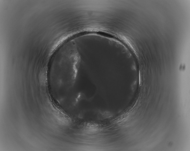 X0000090860531200707271230