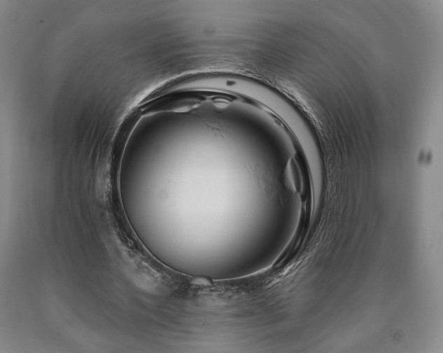 X0000090860532200707271230