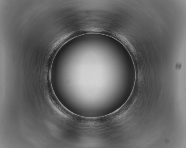 X0000090860533200707271230