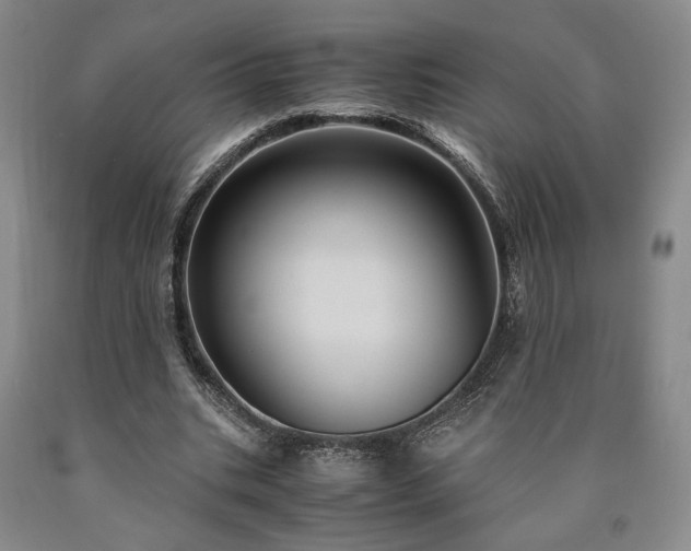 X0000090860535200707271230