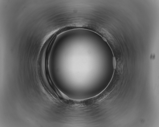 X0000090860536200707271230