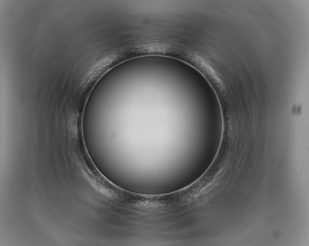 X0000090860537200707271230
