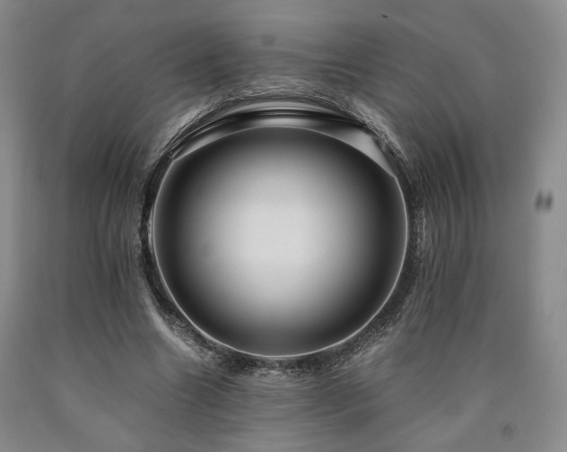 X0000090860538200707271231