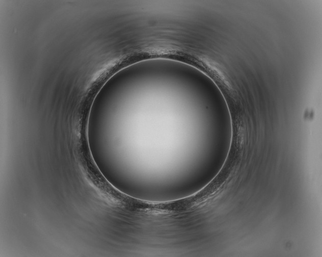 X0000090860539200707271231