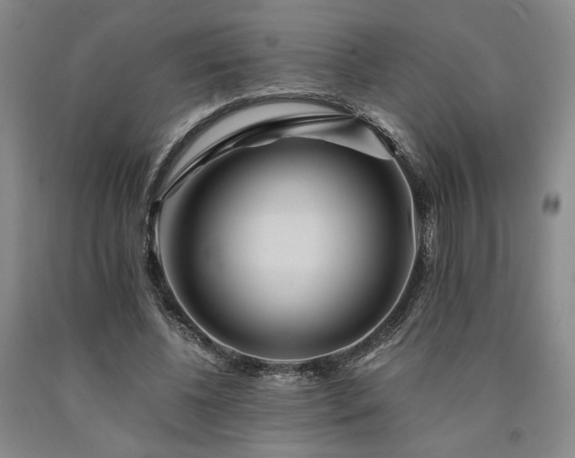 X0000090860540200707271231