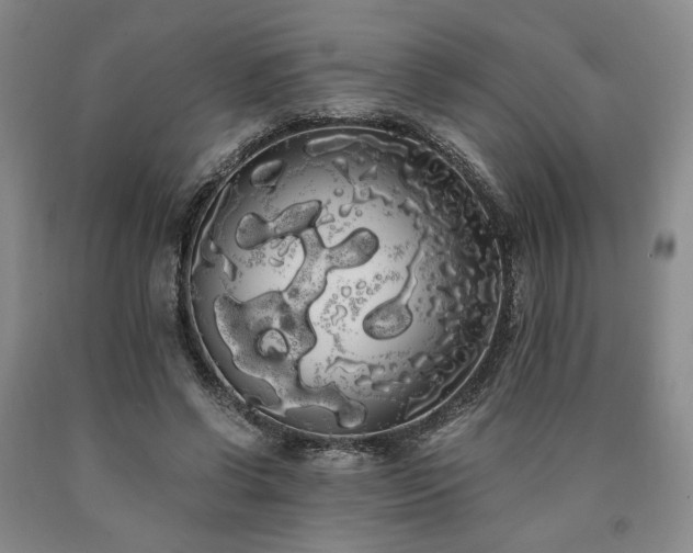 X0000090860542200707271231