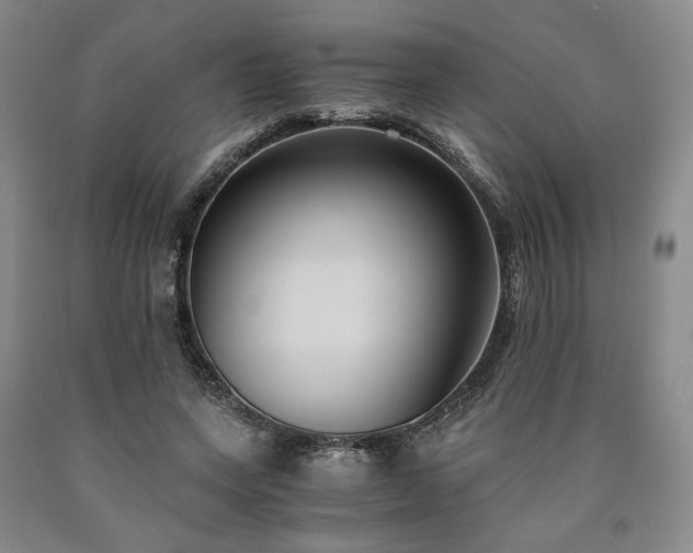 X0000090860543200707271231