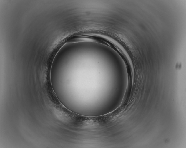 X0000090860544200707271231