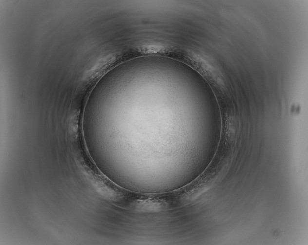 X0000090860545200707271231