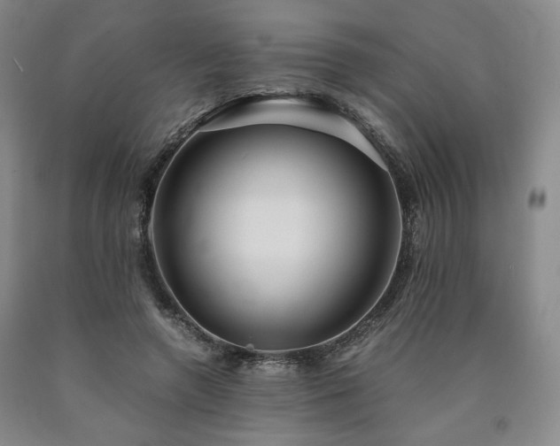 X0000090860546200707271231