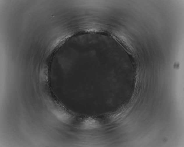 X0000090860547200707271231