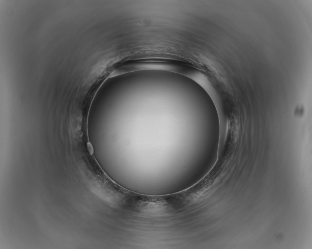 X0000090860548200707271231