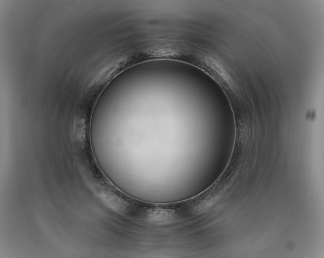 X0000090860549200707271231