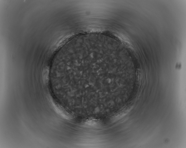 X0000090860550200707271231