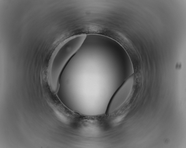X0000090860552200707271231
