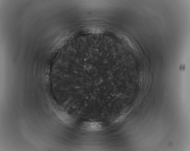 X0000090860553200707271231