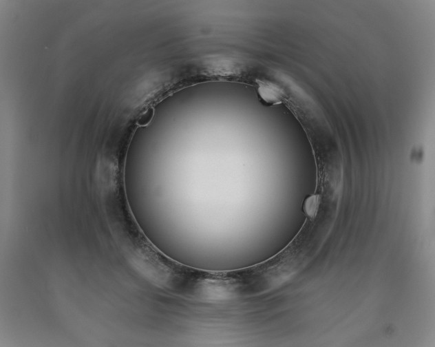 X0000090860556200707271231