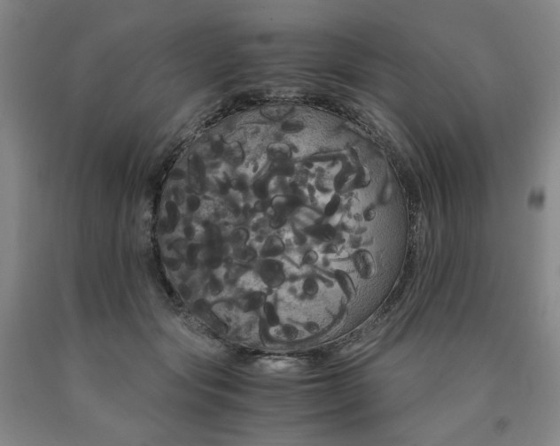 X0000090860557200707271231
