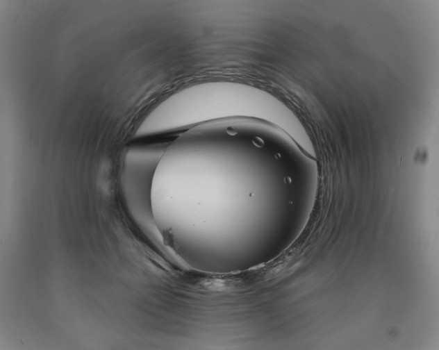 X0000090860558200707271231