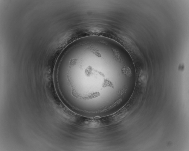 X0000090860559200707271231