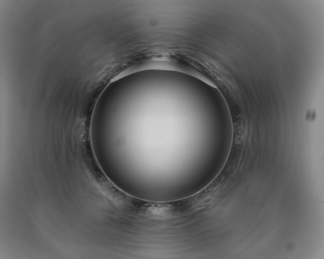X0000090860560200707271231