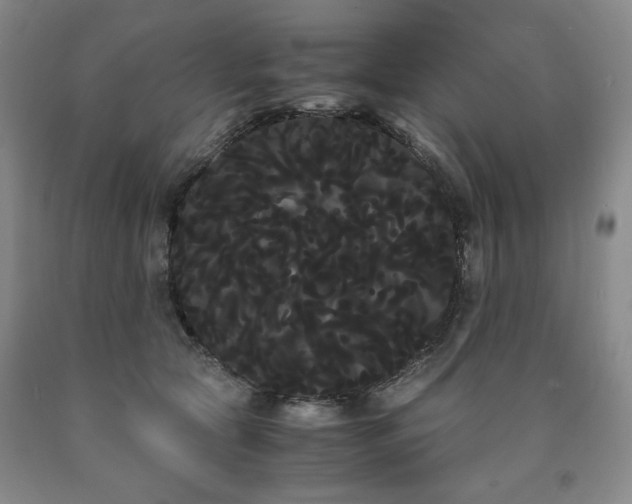 X0000090860561200707271231