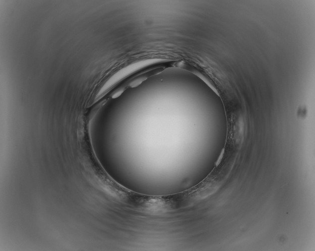 X0000090860562200707271231