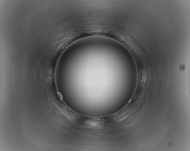 X0000090860563200707271231