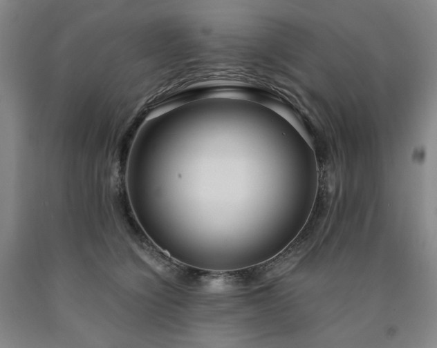 X0000090860564200707271231