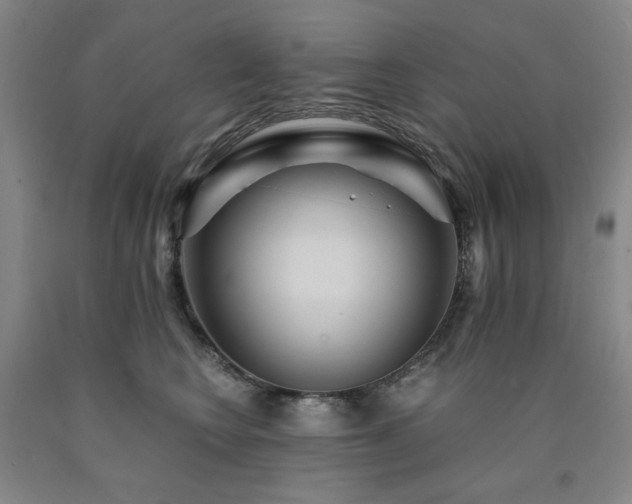 X0000090860566200707271231
