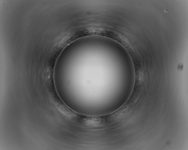 X0000090860567200707271231