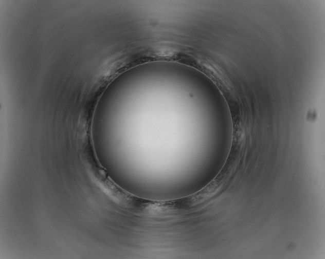 X0000090860568200707271231