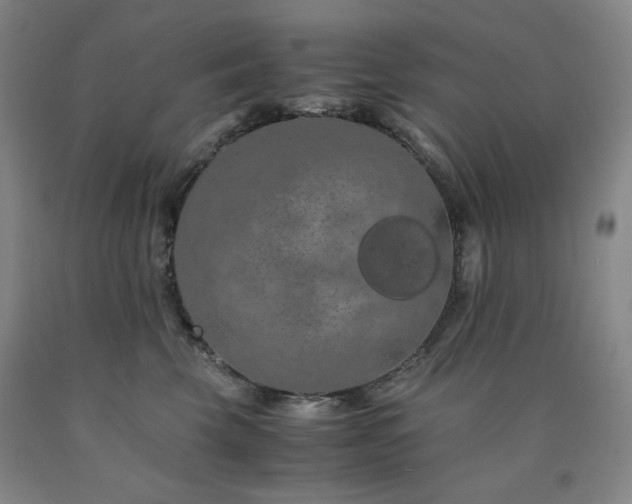X0000090860569200707271231