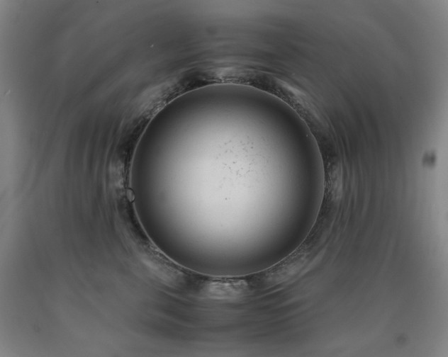 X0000090860571200707271231